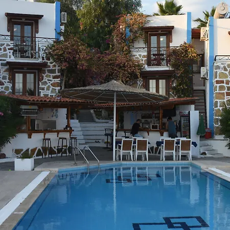 Dasis 3* Αλικαρνασσός