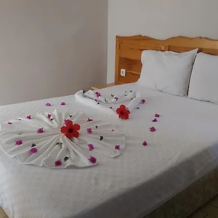 Dasis Αλικαρνασσός