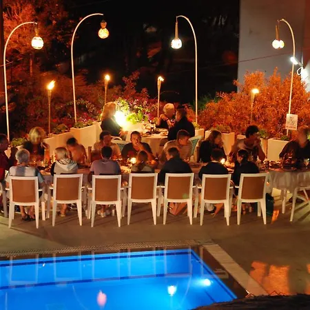 Dasis 3* Αλικαρνασσός