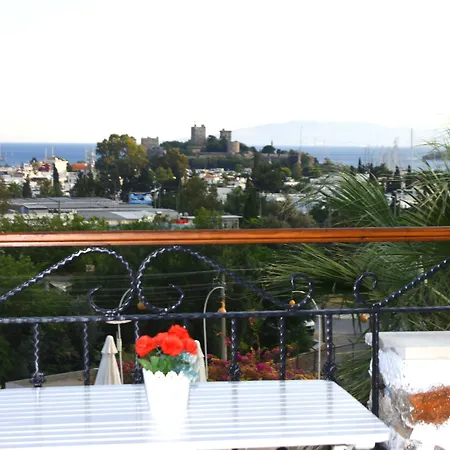 Ξενοδοχείο με διαμερίσματα Dasis Αλικαρνασσός