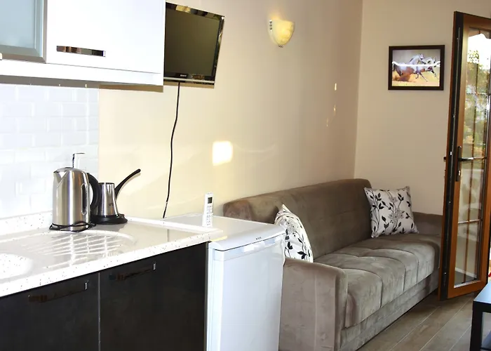 מלון דירות Dasis בודרום